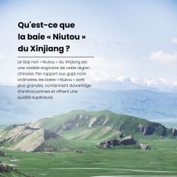 goji noir niutou xinjiang