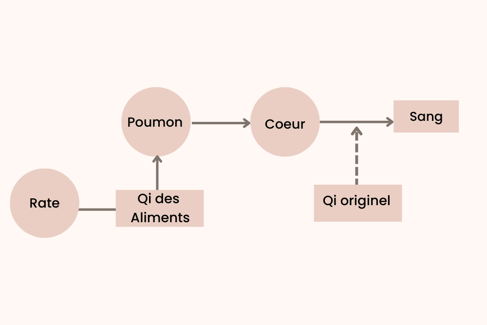 Qi des aliments.png