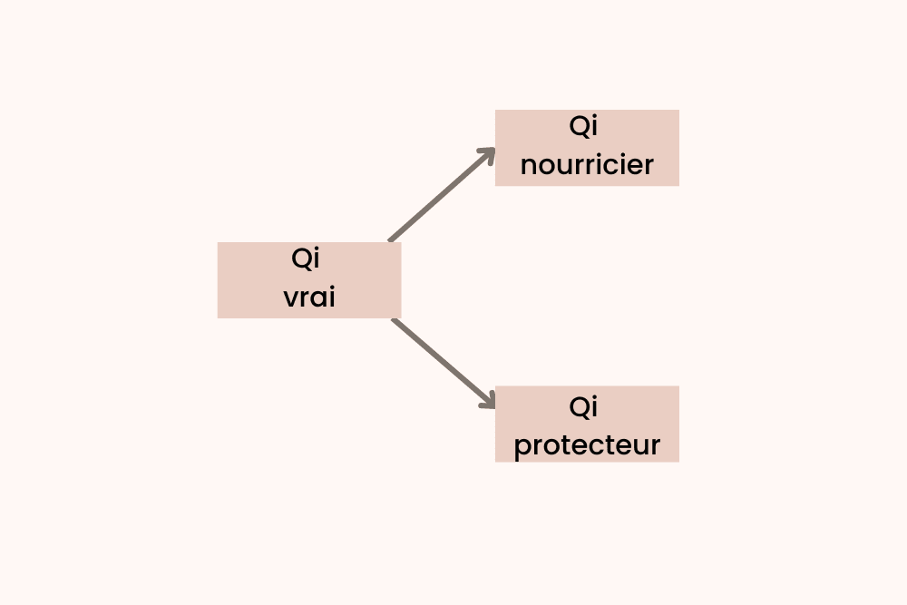 Qi vrai.png