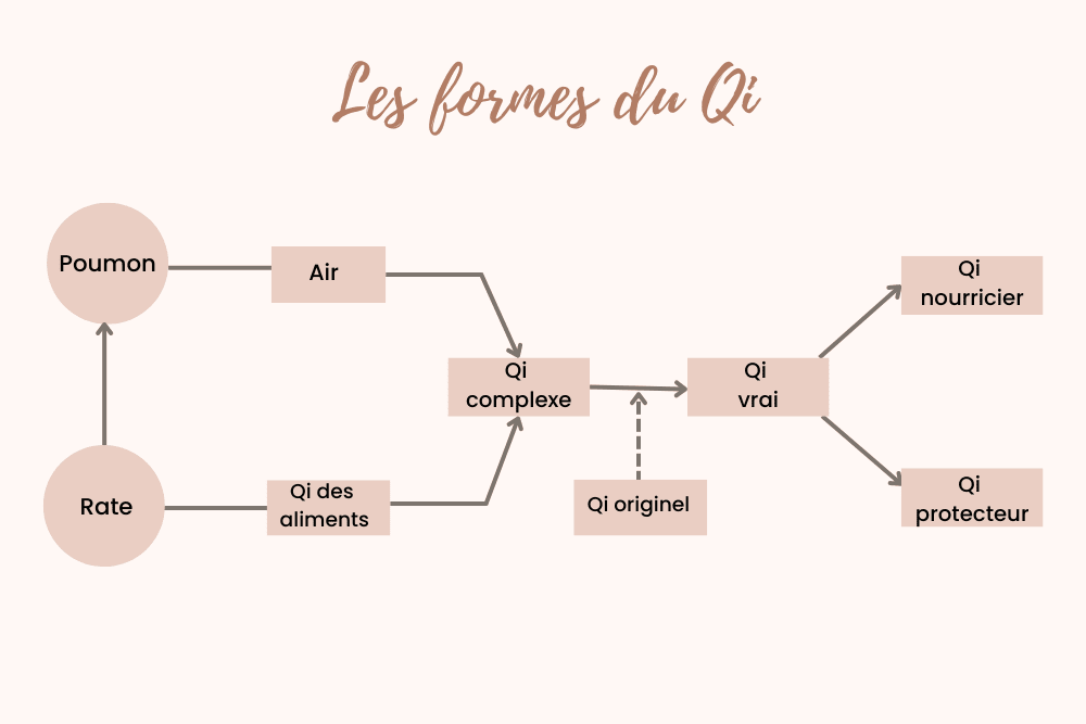 les formes du Qi.png