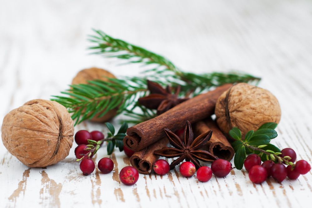 plantes-noel.jpg