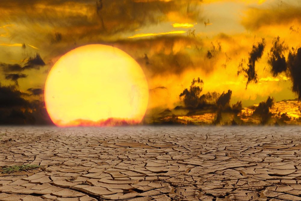 canicule.jpg