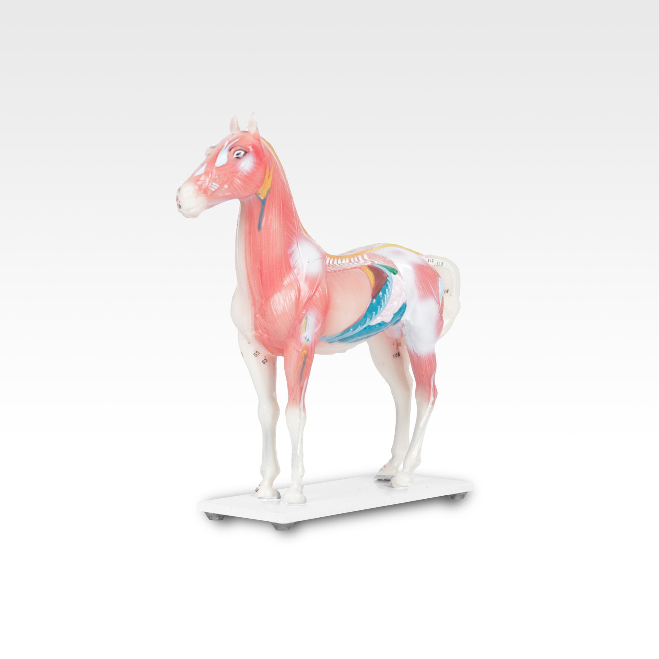 cheval.jpg