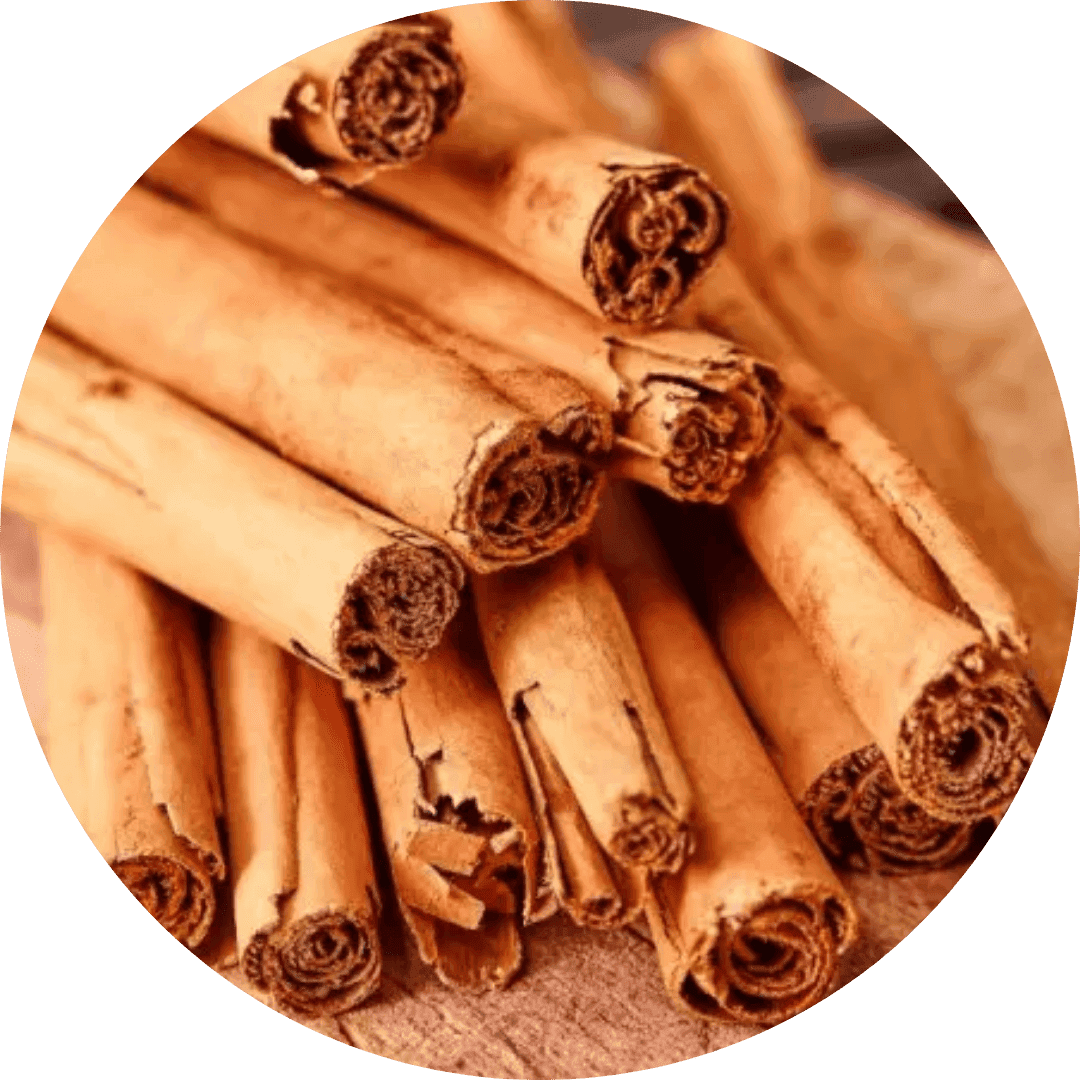 Cannelle de Ceylan
