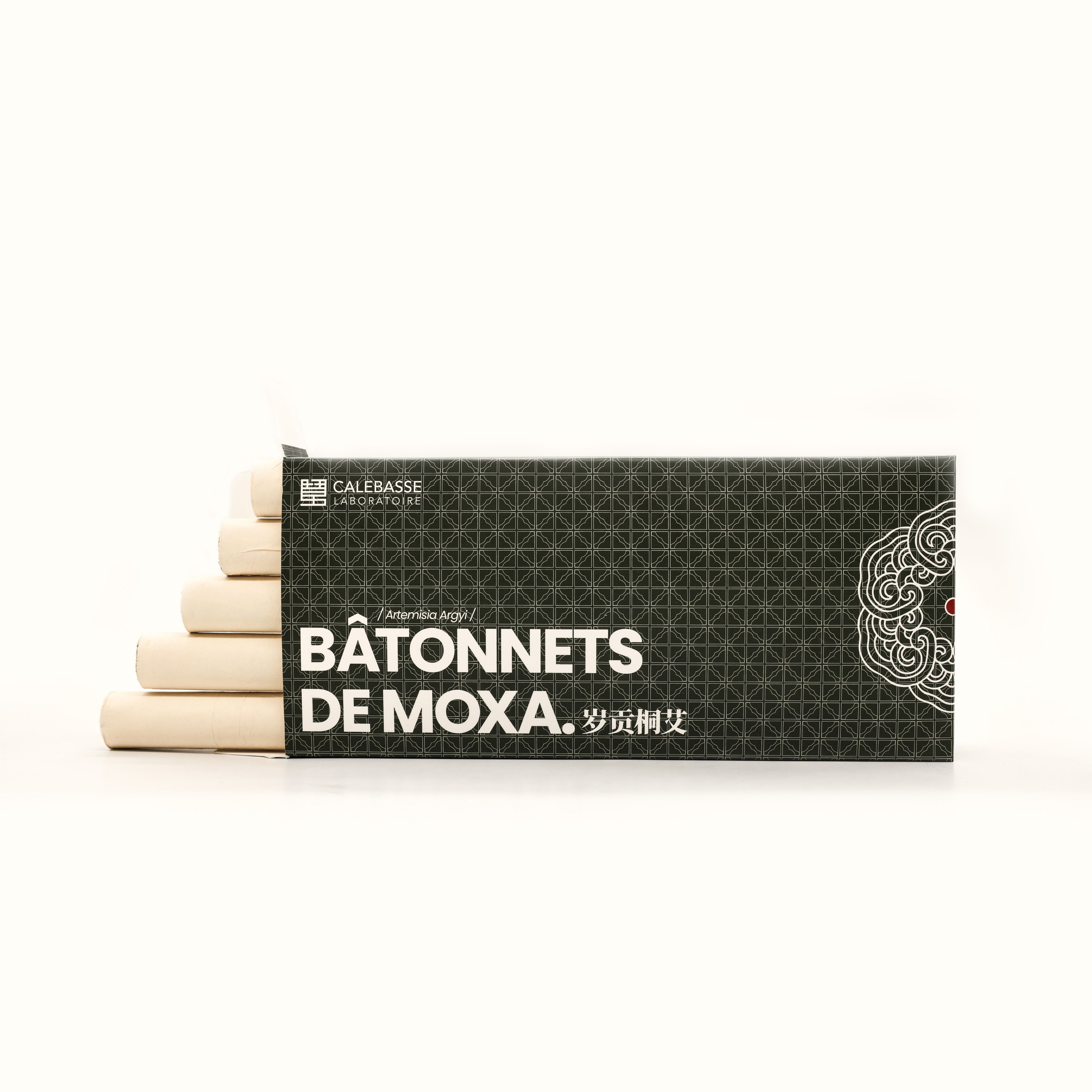 1 lot de 10 bâtonnets