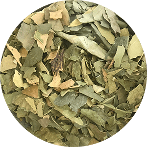 Feuilles d'Oranger