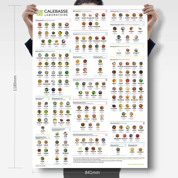 1 Poster 