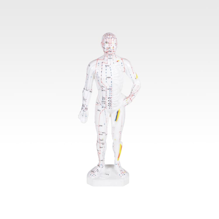 homme2.jpg