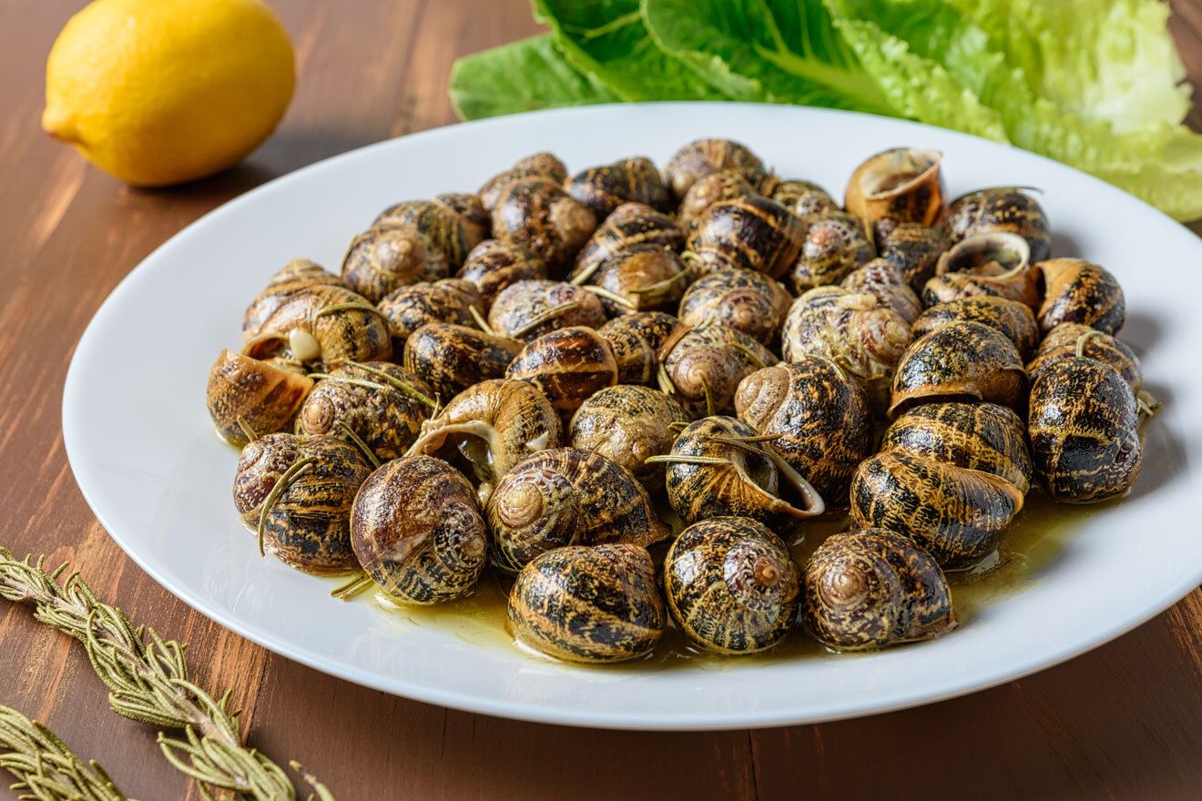 shutterstock_1162201678.jpg