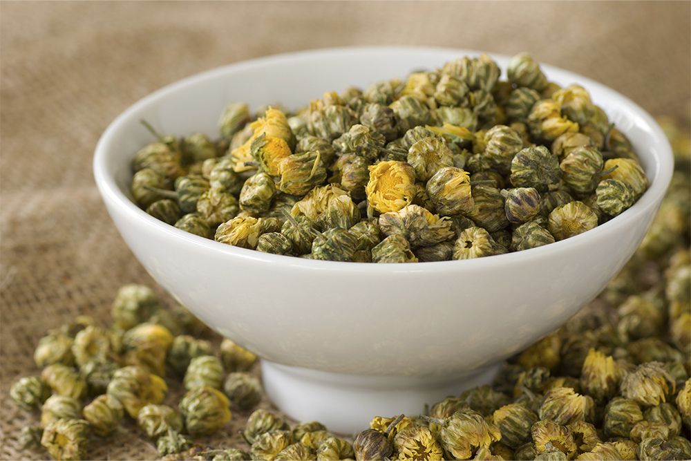 ju_hua_chrysantheme.jpg