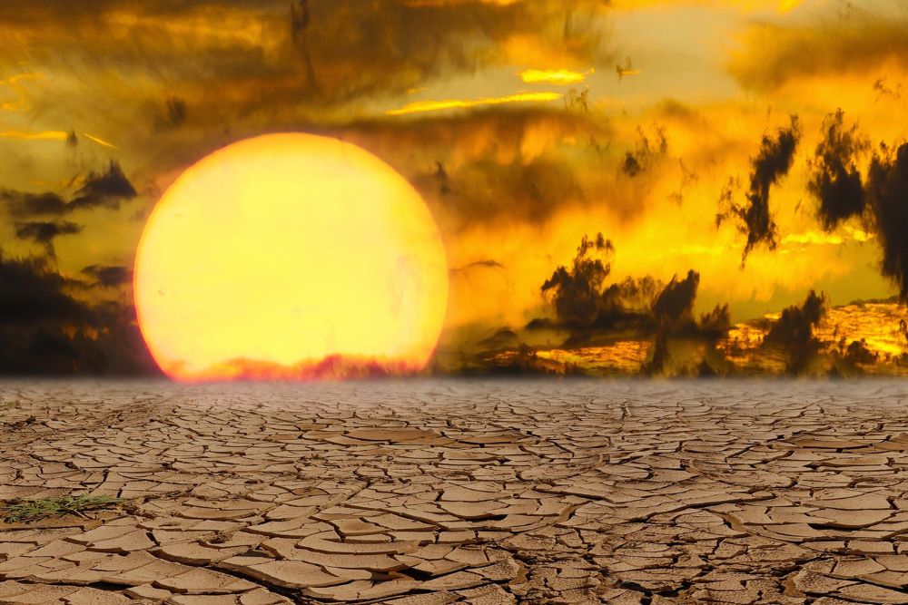 canicule.jpg