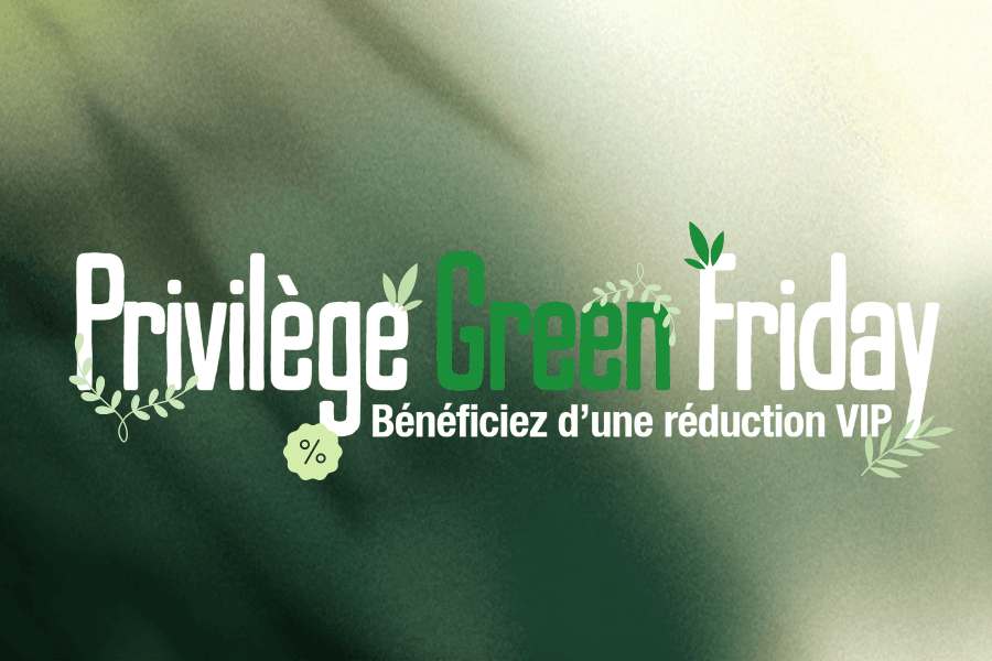 VIP Black Friday Bannière
