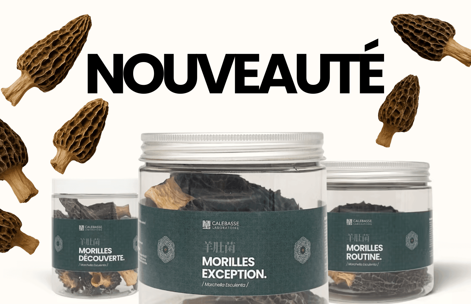 Nouveau produit d’exception : La Morille du Yunnan !
