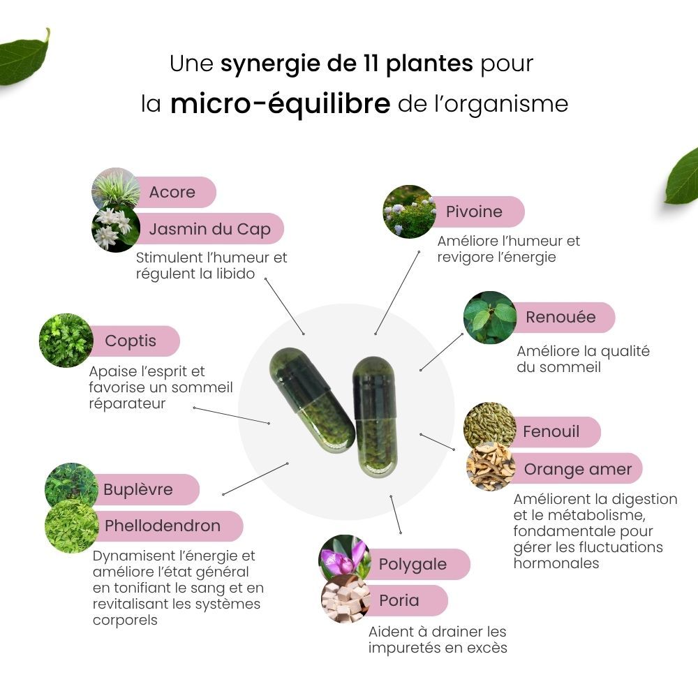 Ingrédients de la Formule Ménopause
