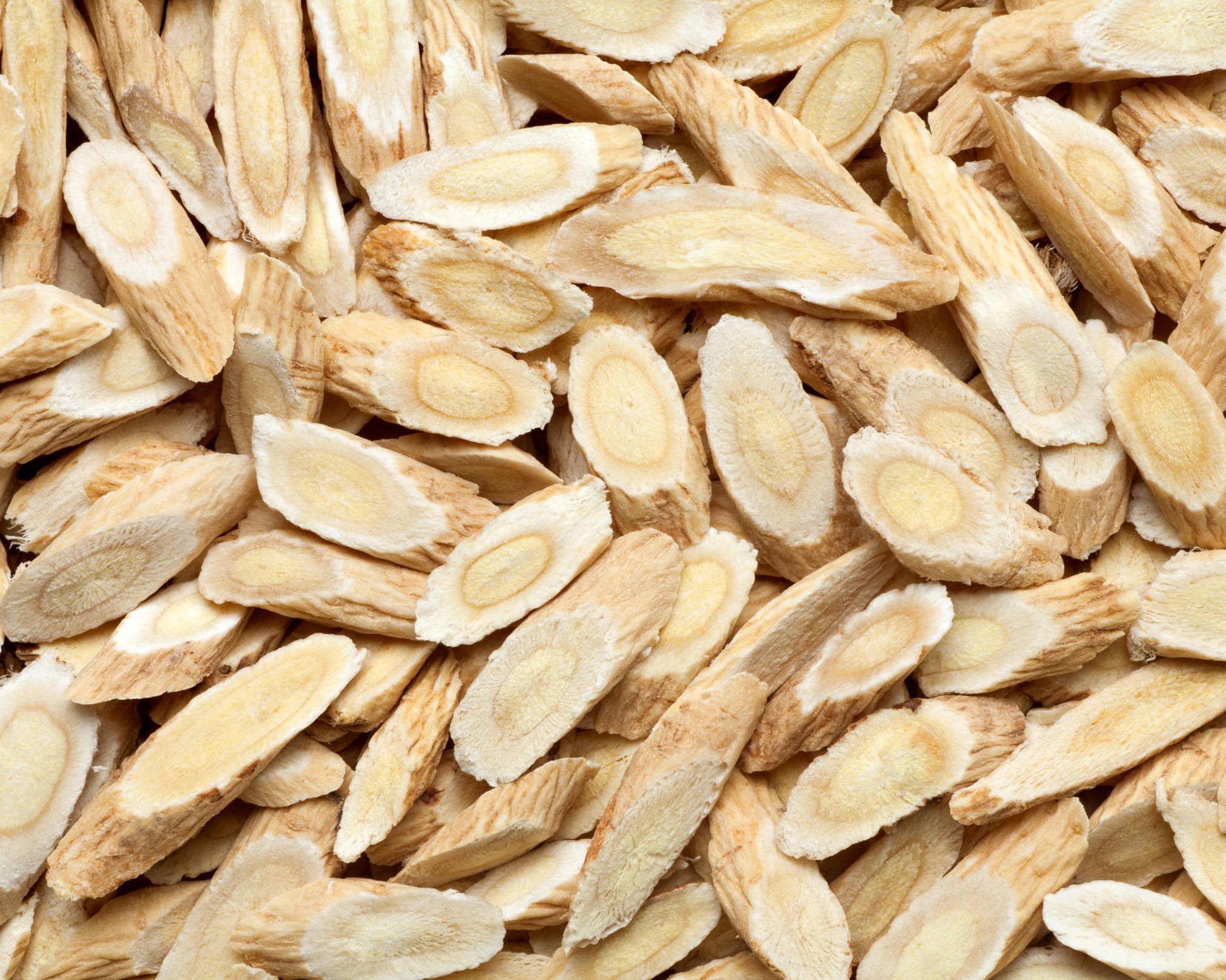 Astragale