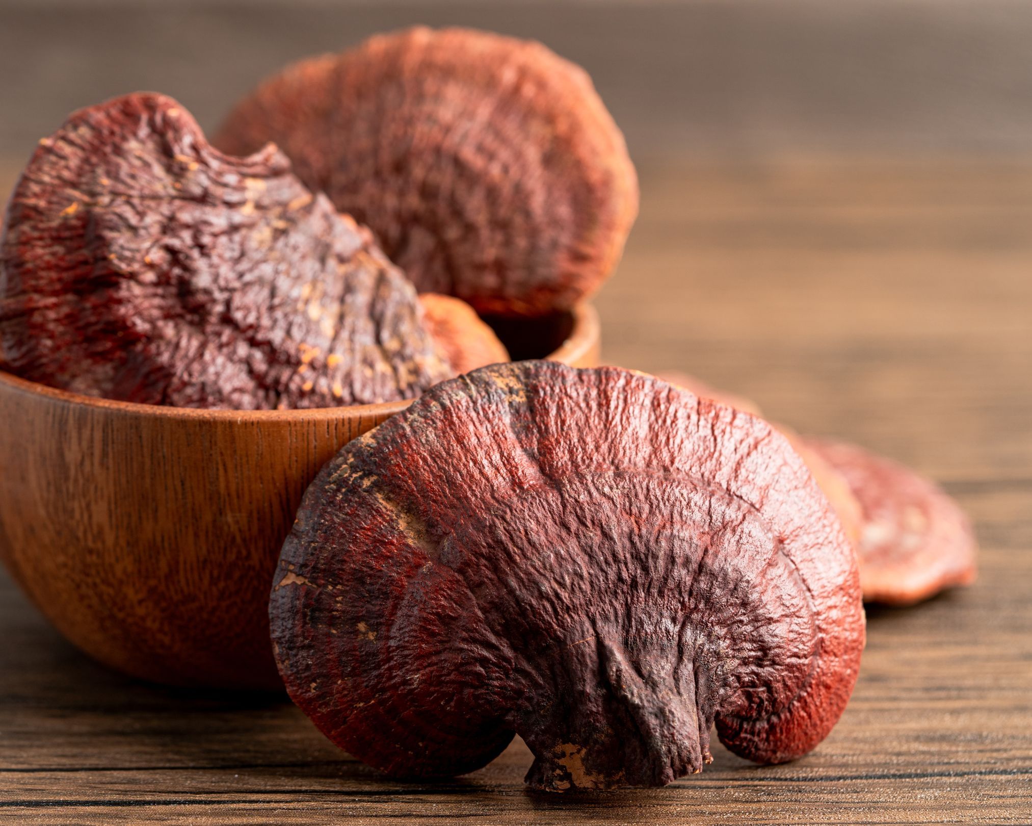 Reishi
