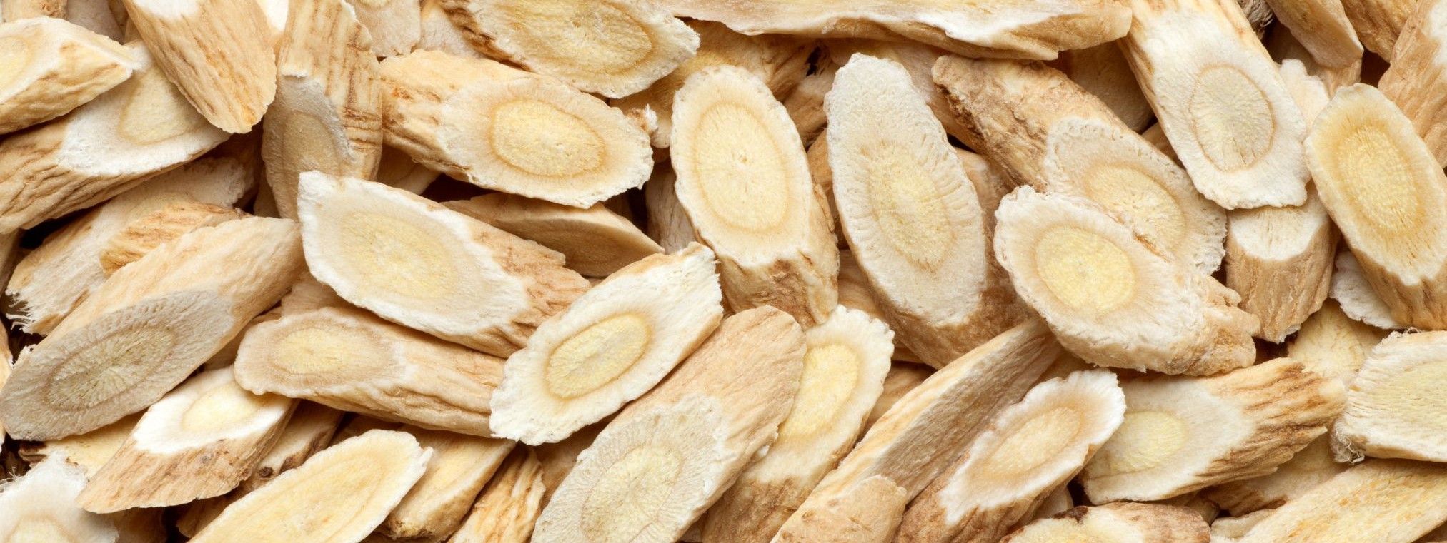 Astragale