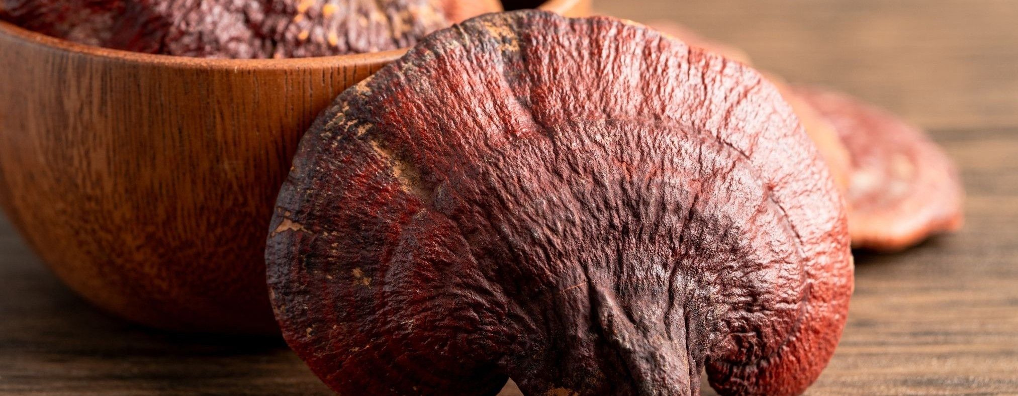 Reishi