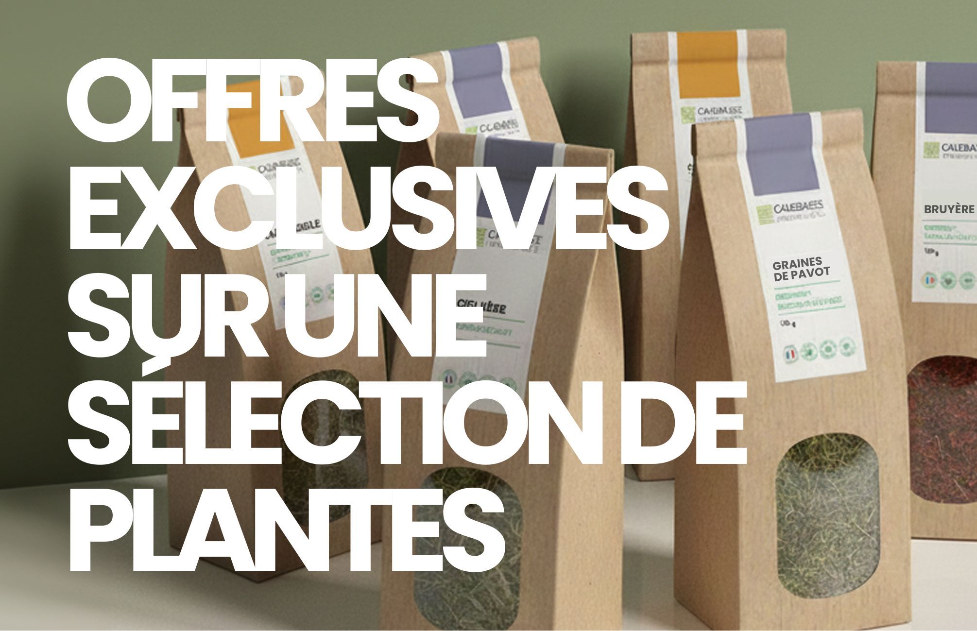 Offres exceptionnelles !