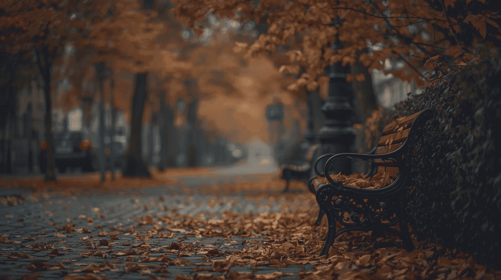 Sérénité en automne