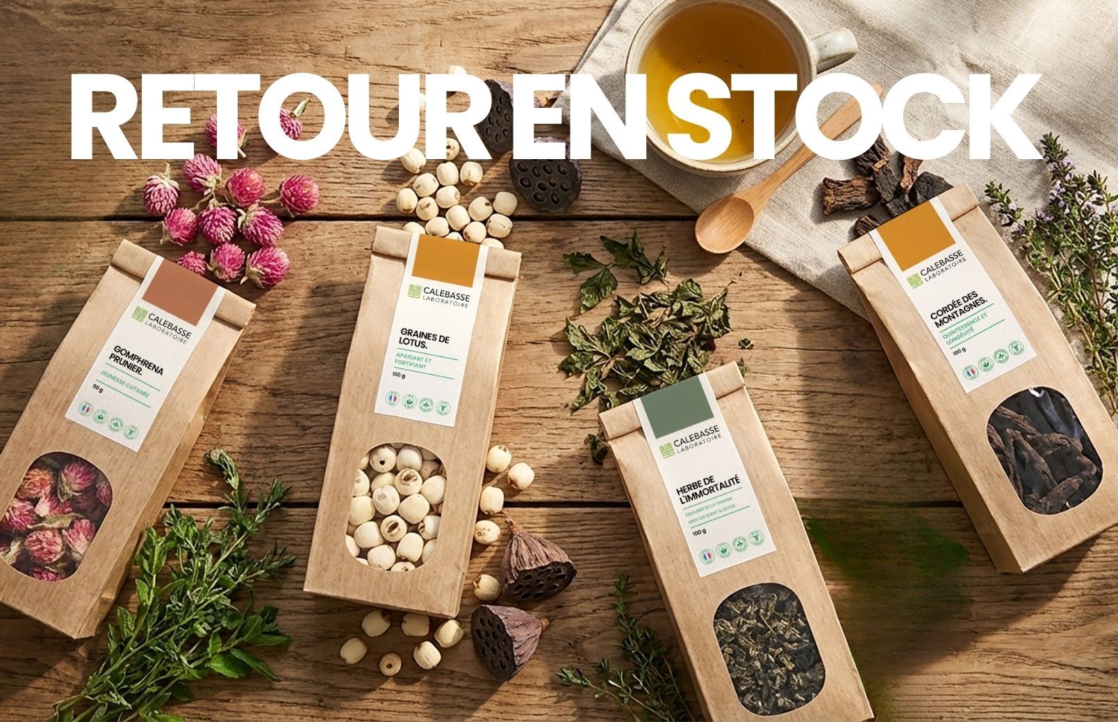 Vos plantes préférées reviennent en stock !