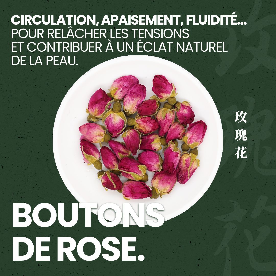 Boutons de Rose