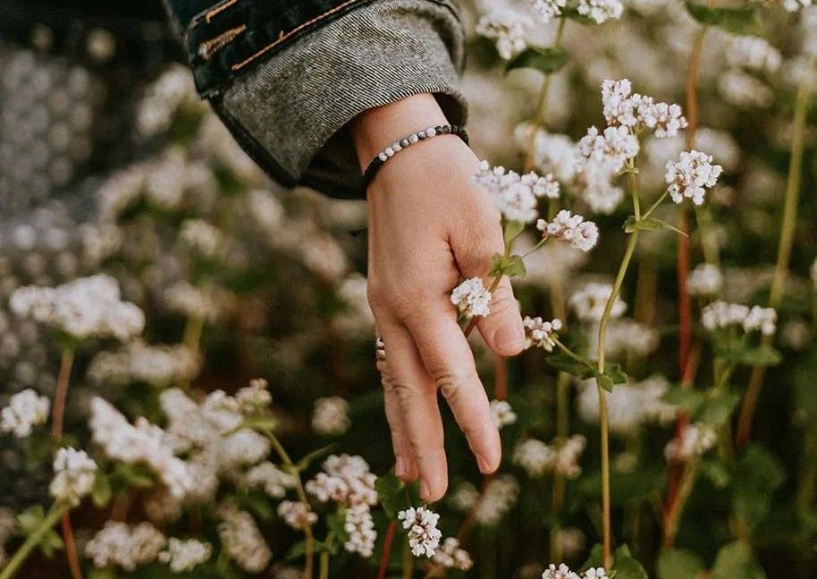 Nature entre hiver et printemps