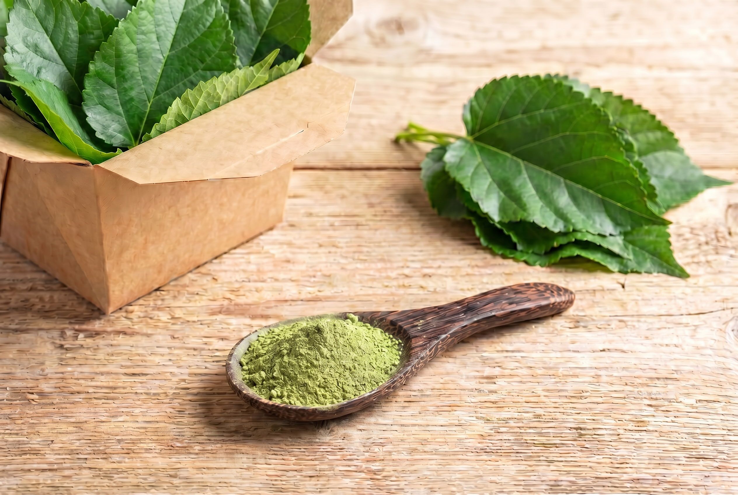 Infusion et feuilles de mûrier séchées