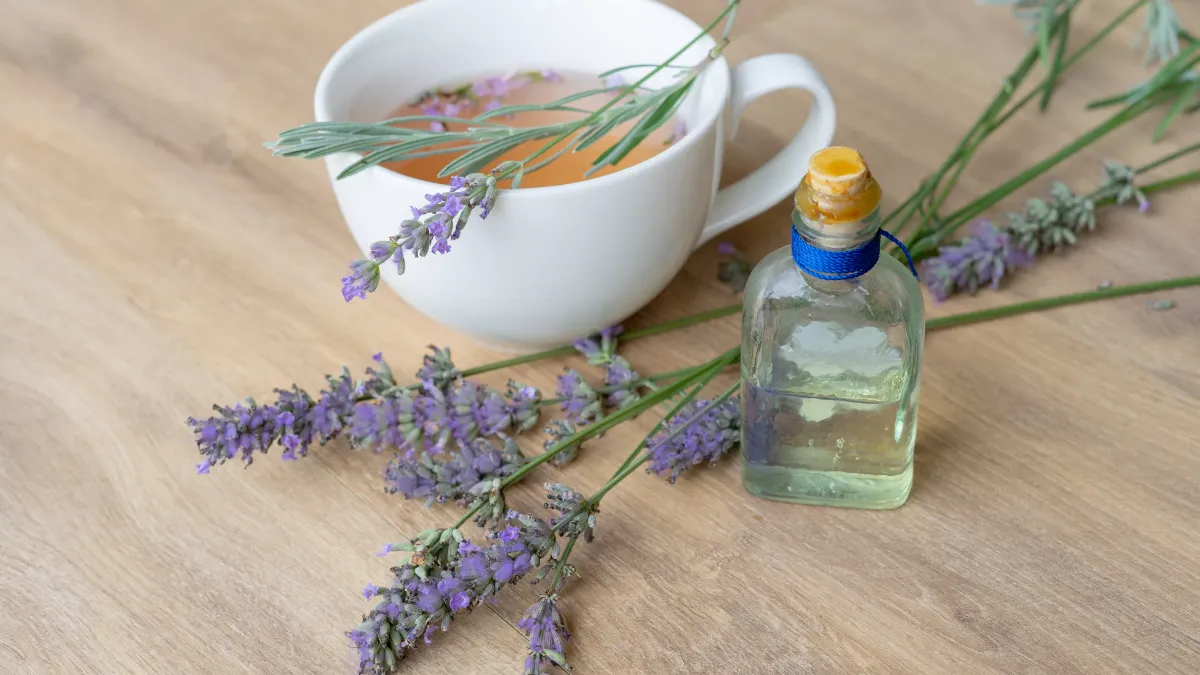 Fleurs de lavande vraie séchées près d'un bouquet de menthe