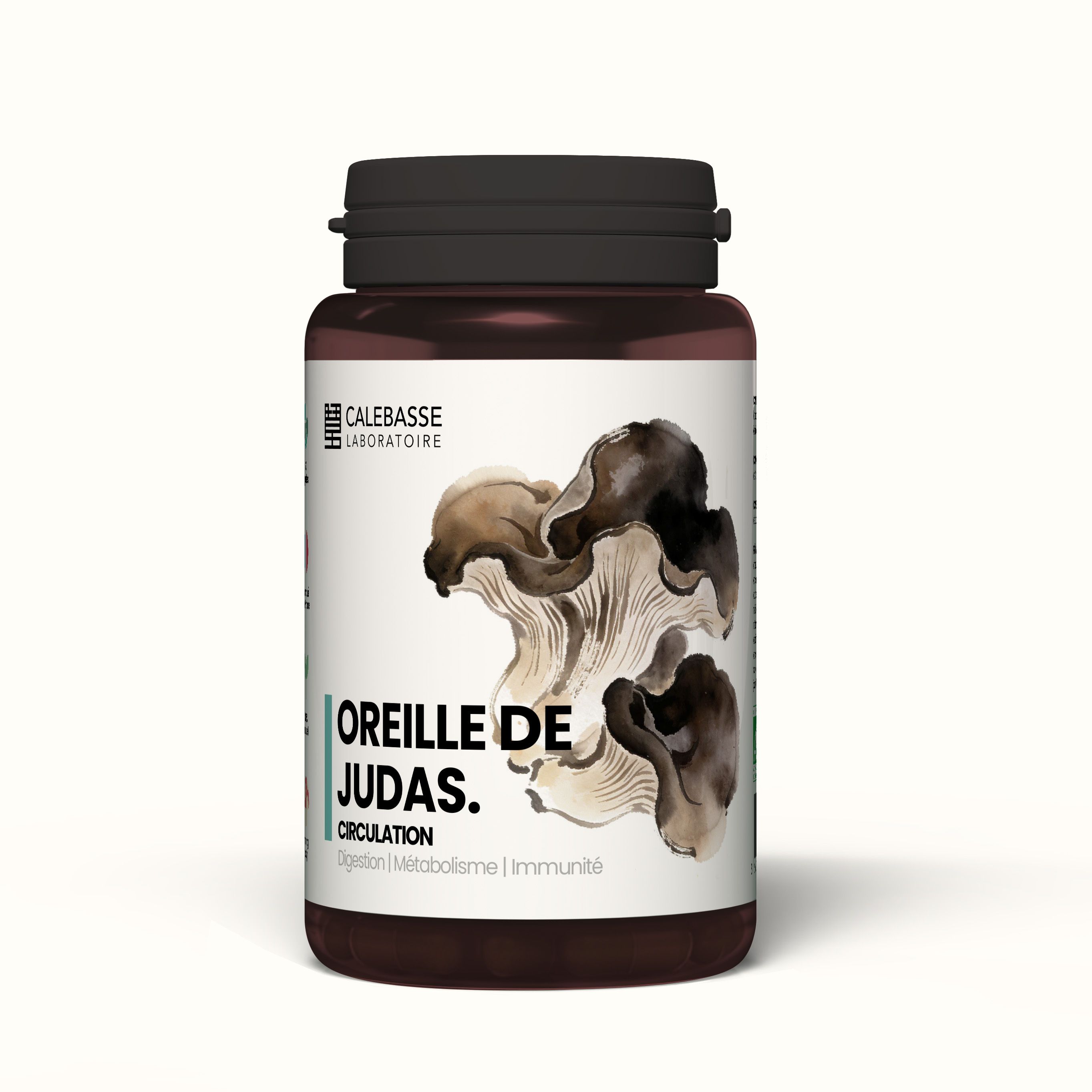 Extrait de Oreille de Judas BIO MycoLab