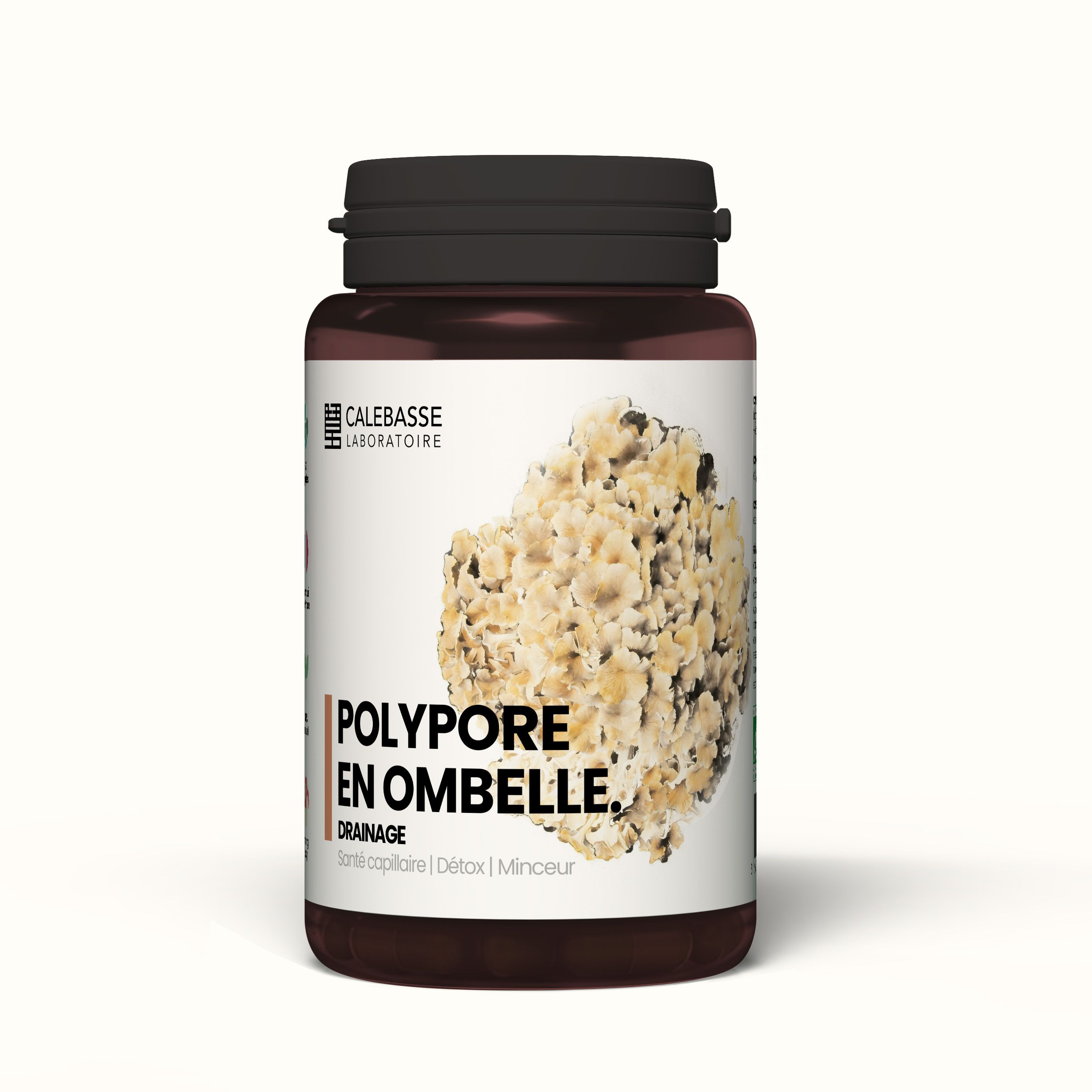 Extrait de Polypore en Ombelle BIO Myco Calebasse