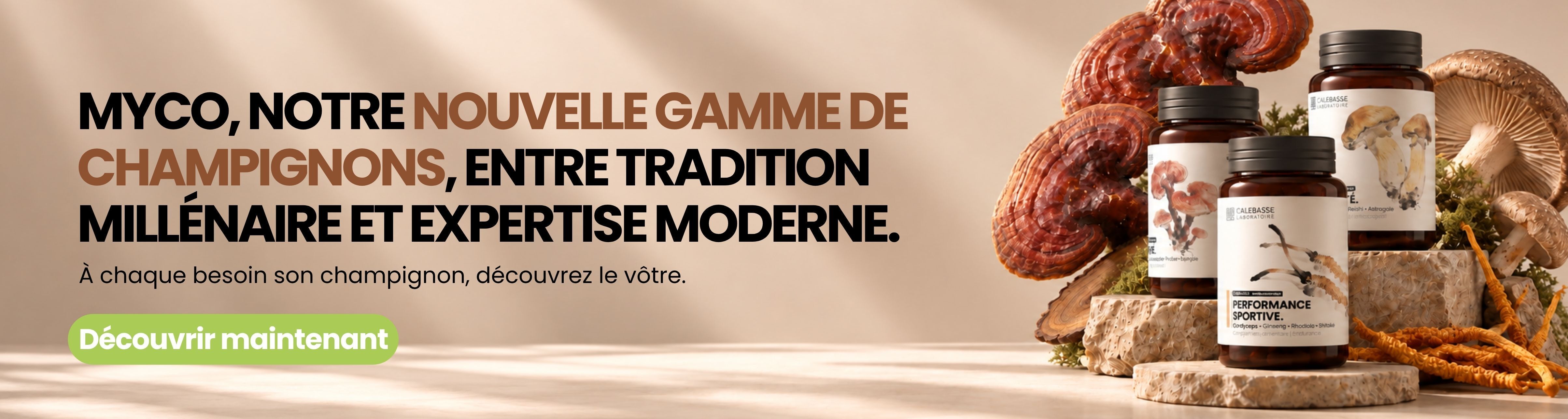 Nouvelle gamme MYCO de champignons, entre tradition millénaire et expertise moderne