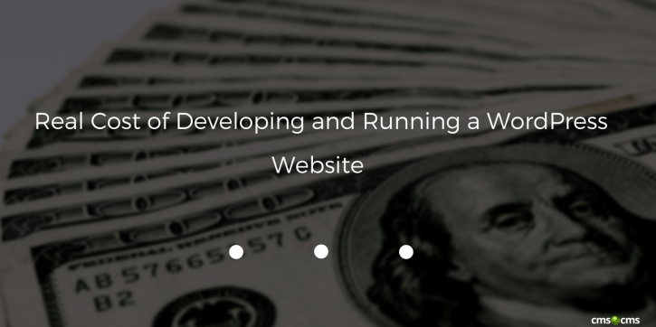 Real Cost of Developing and Running a WordPress Website - CMS2CMS