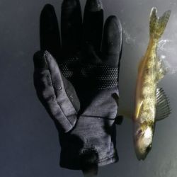 Rapala StrikeMaster Midweight Fishing Gloves - Black