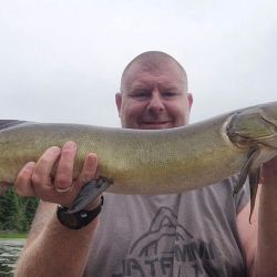 ᐅ Lower Clam Lake fishing reports🎣• WI, United States fishing