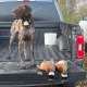 2022 Pheasant Hunting photo by Bdub