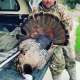 2023 Wisconsin turkey season photo by greenwaterwalleye