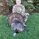 2024 Wisconsin turkey hunting photo by Tito39