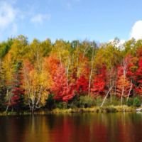 Business Card: Hayward Wis Fishing Guide - Jim Stroede