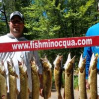 Business Card: Fish Minocqua - Dave Lang