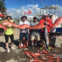 Business Card: Captain Hank's Charters