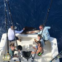 Business Card: Championship Offshore Outfitting And Charters