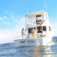 Business Card: Riptide Fishing Charters