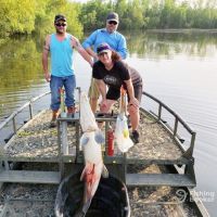 Business Card: Twisted Arrow Bowfishing  -  Falcon Lake