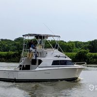 Business Card: Reelhard Fishin Charter  -  34'