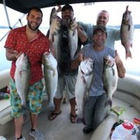 Business Card: Cherokee Lake Fishing Charter