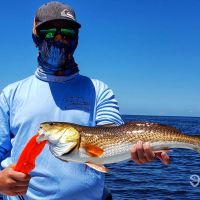 Business Card: Reel Epic Charters Of Florida