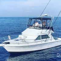 Business Card: King Triton Sportfishing