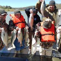 Business Card: Cherokee Lake Fishing Charter  -  24'