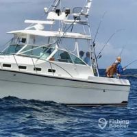 Business Card: Galveston Deep Sea Fishing Charters